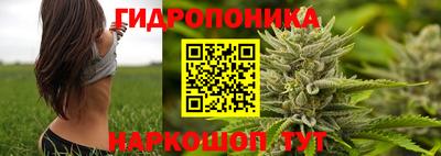 jwh Партизанск