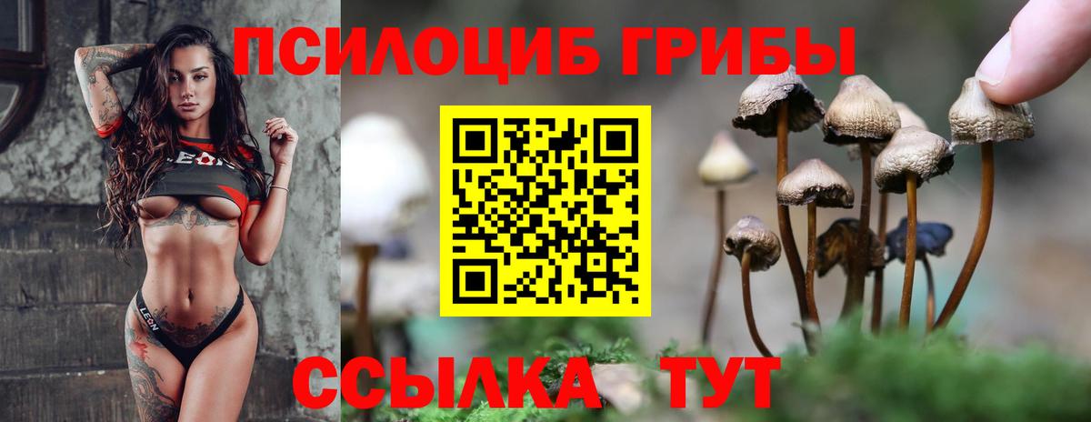 Псилоцибиновые грибы мицелий Рыбинск